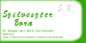 szilveszter bora business card